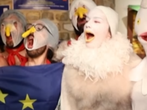 Campeonato europeo de imitadores de gaviota