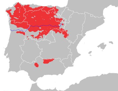 Distribución del lobo ibérico en la Península Ibérica
