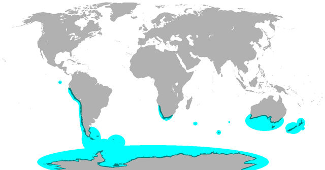 Los pingüinos en el mapa del mundo