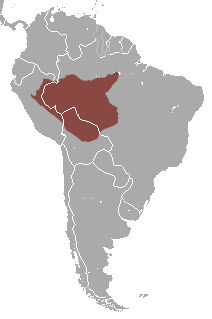 Distribución mundial del mono araña peruano