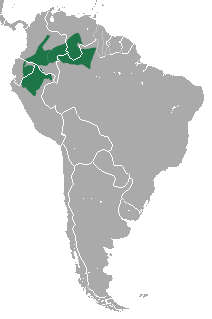 Mapa con la distribución mundial del macaco araña
