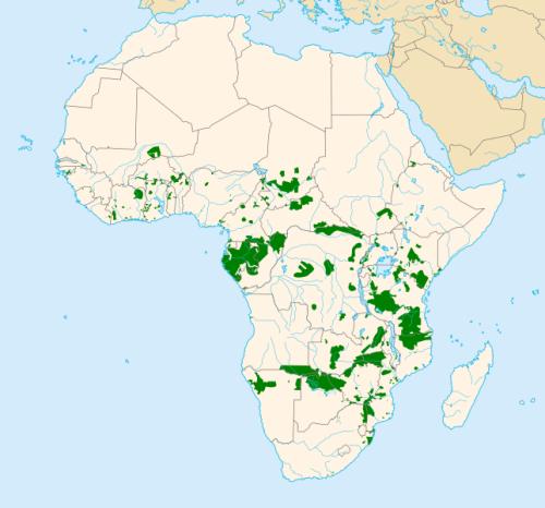 Mapa elefantes africanos de sabana