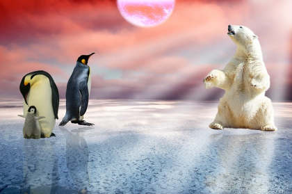 Oso polar en el norte y pinguino en el sur